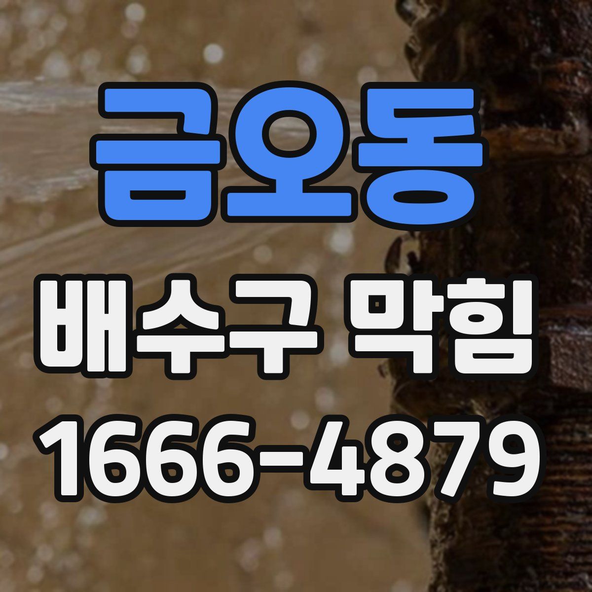 금오동 배수구 막힘