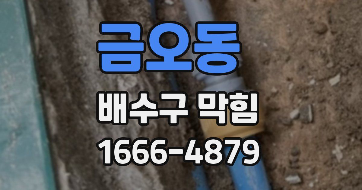 금오동 배수구 막힘
