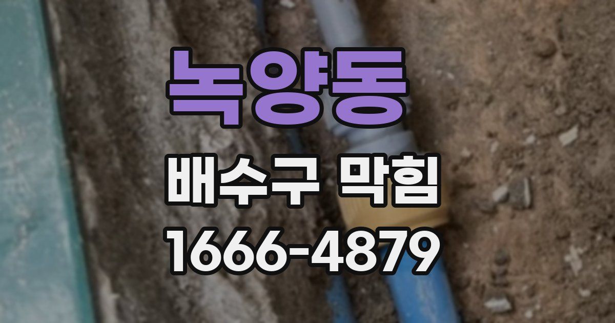 녹양동 배수구 막힘