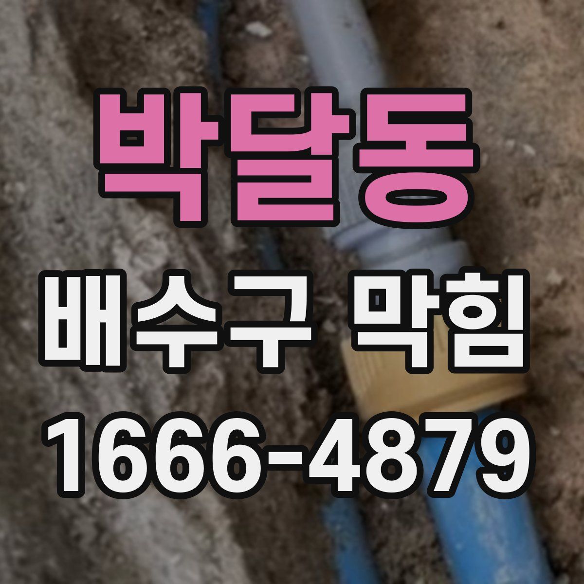 박달동 배수구 막힘