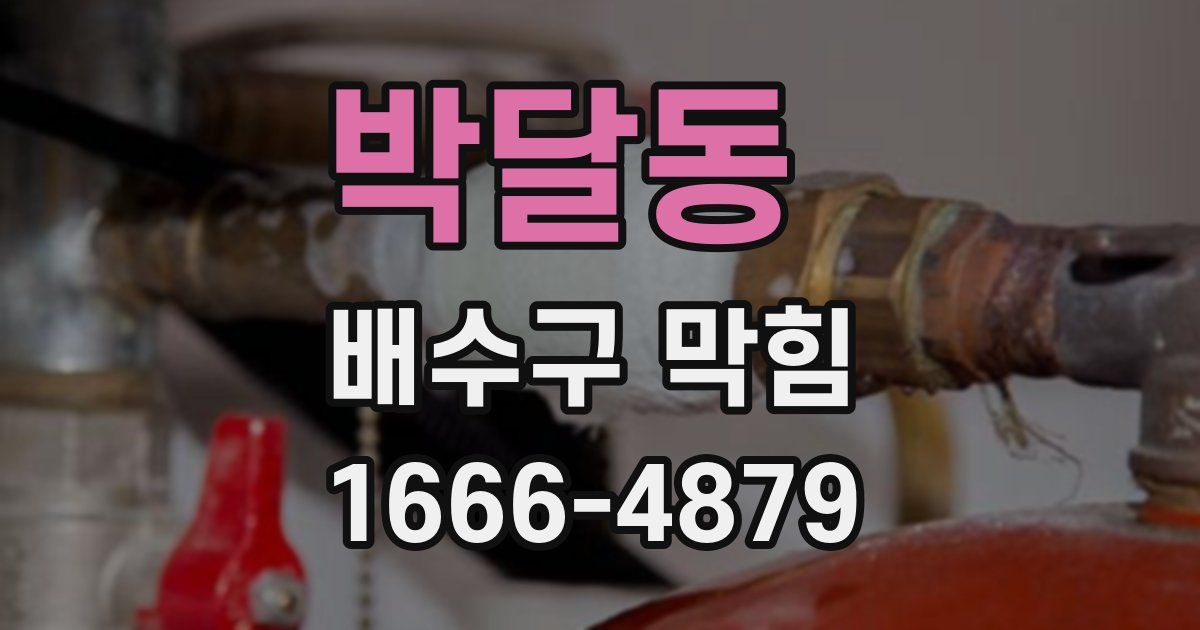 박달동 배수구 막힘