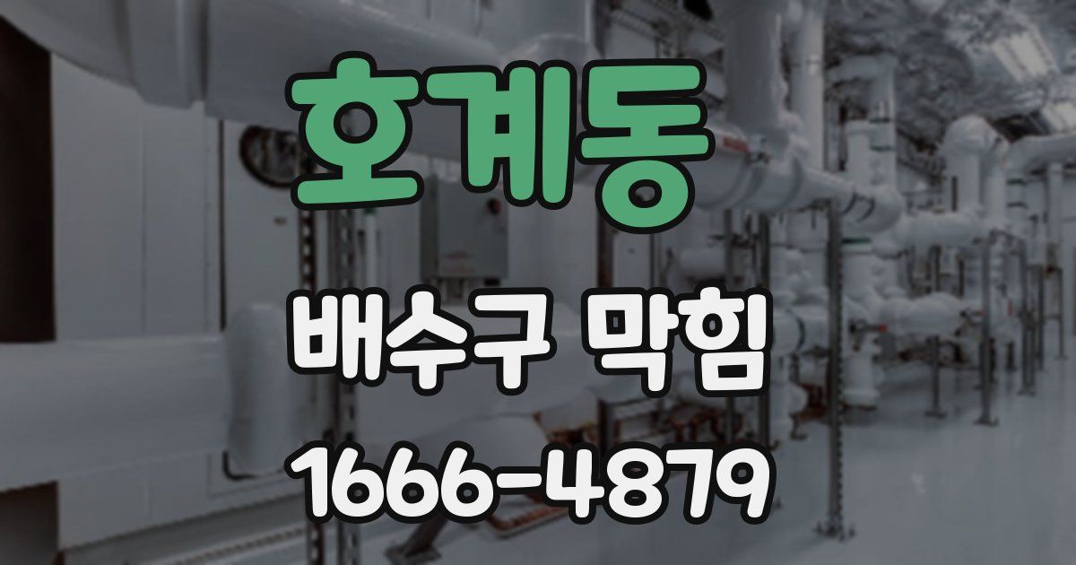 호계동 배수구 막힘