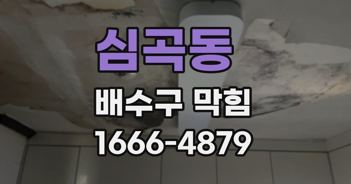 심곡동 배수구 막힘
