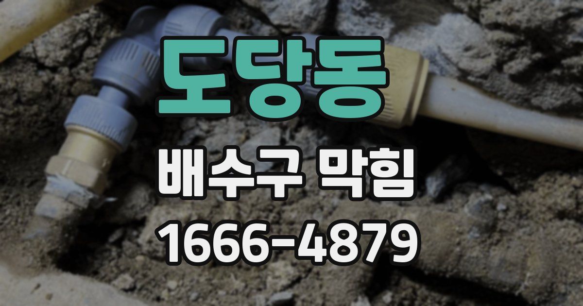 도당동 배수구 막힘