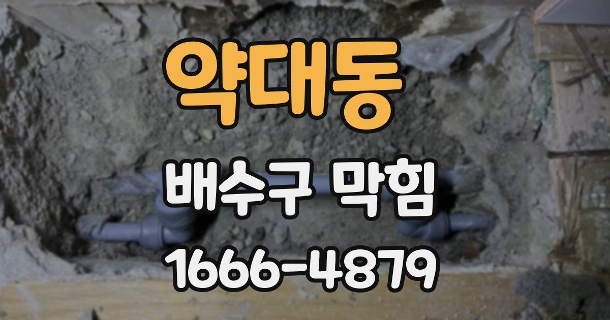 약대동 배수구 막힘