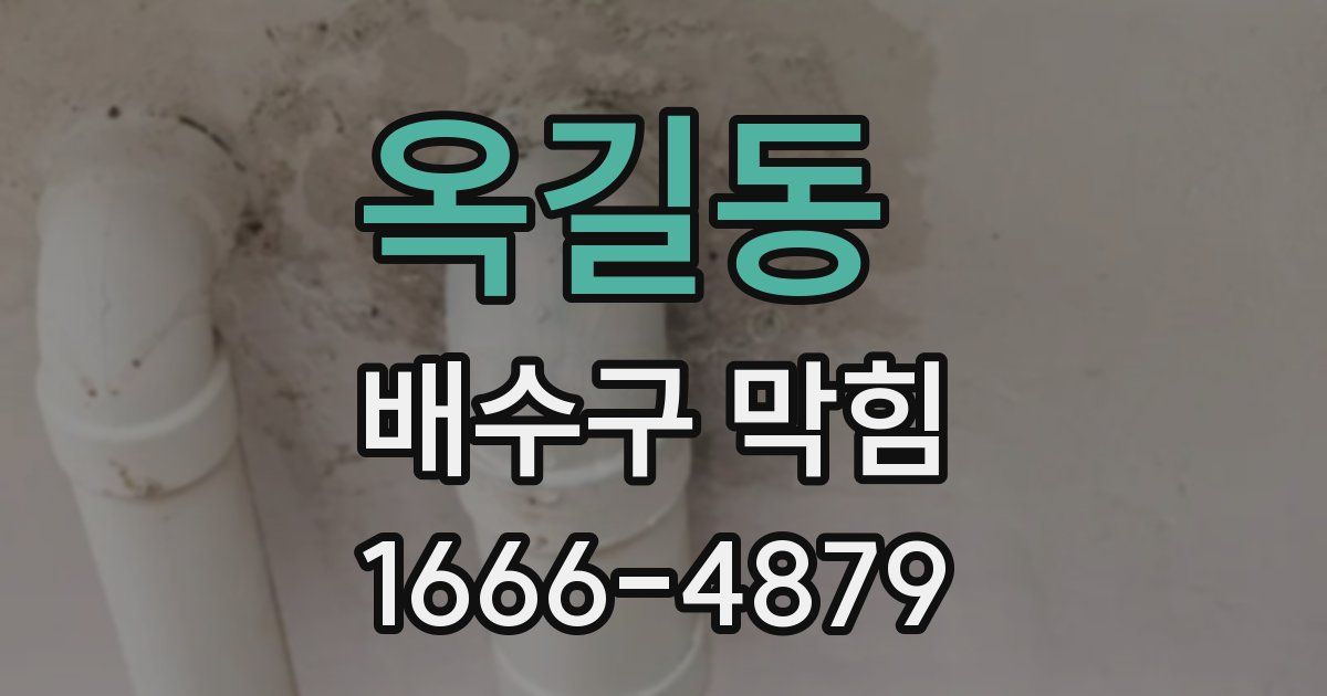 옥길동 배수구 막힘