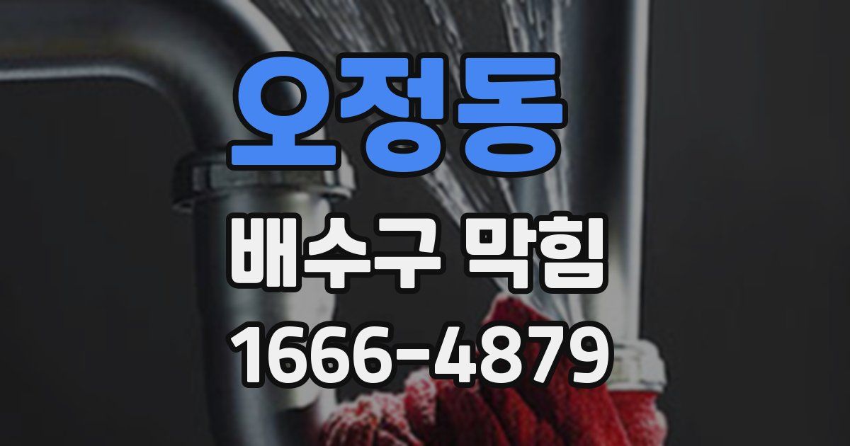 오정동 배수구 막힘