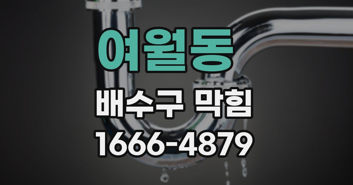 여월동 배수구 막힘