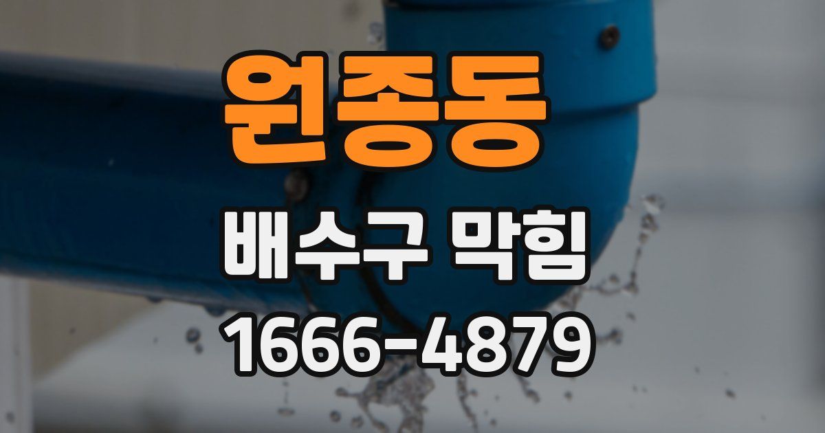 원종동 배수구 막힘