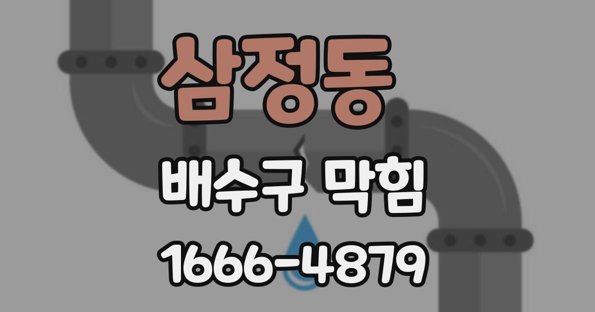 삼정동 배수구 막힘