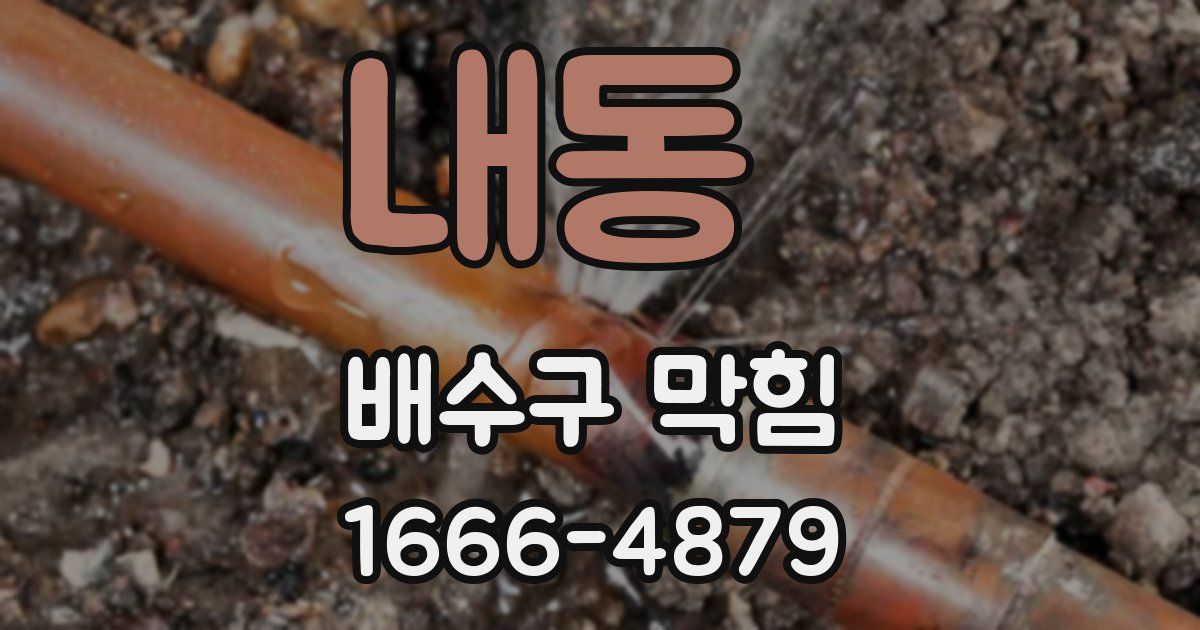 내동 배수구 막힘