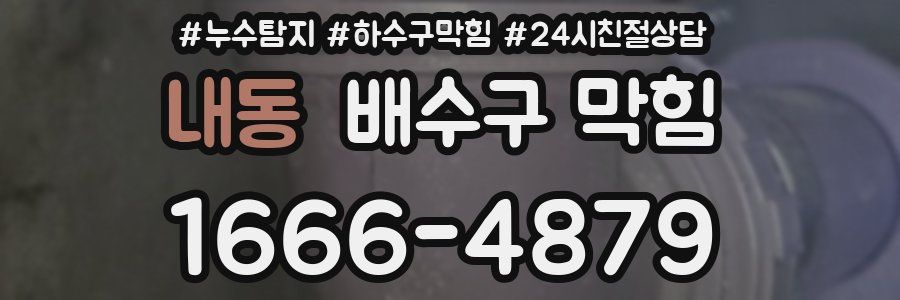 내동 배수구 막힘