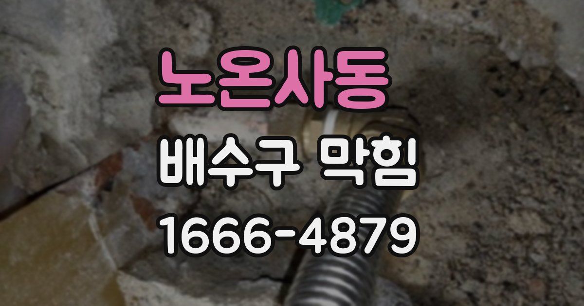 노온사동 배수구 막힘