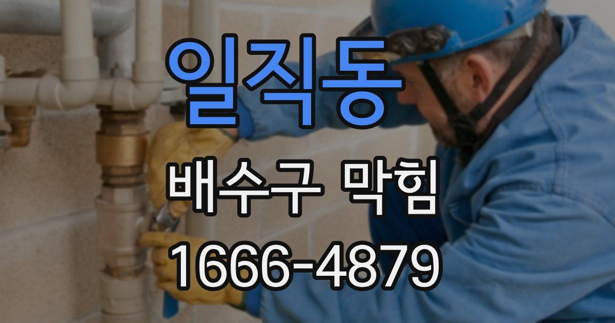 일직동 배수구 막힘