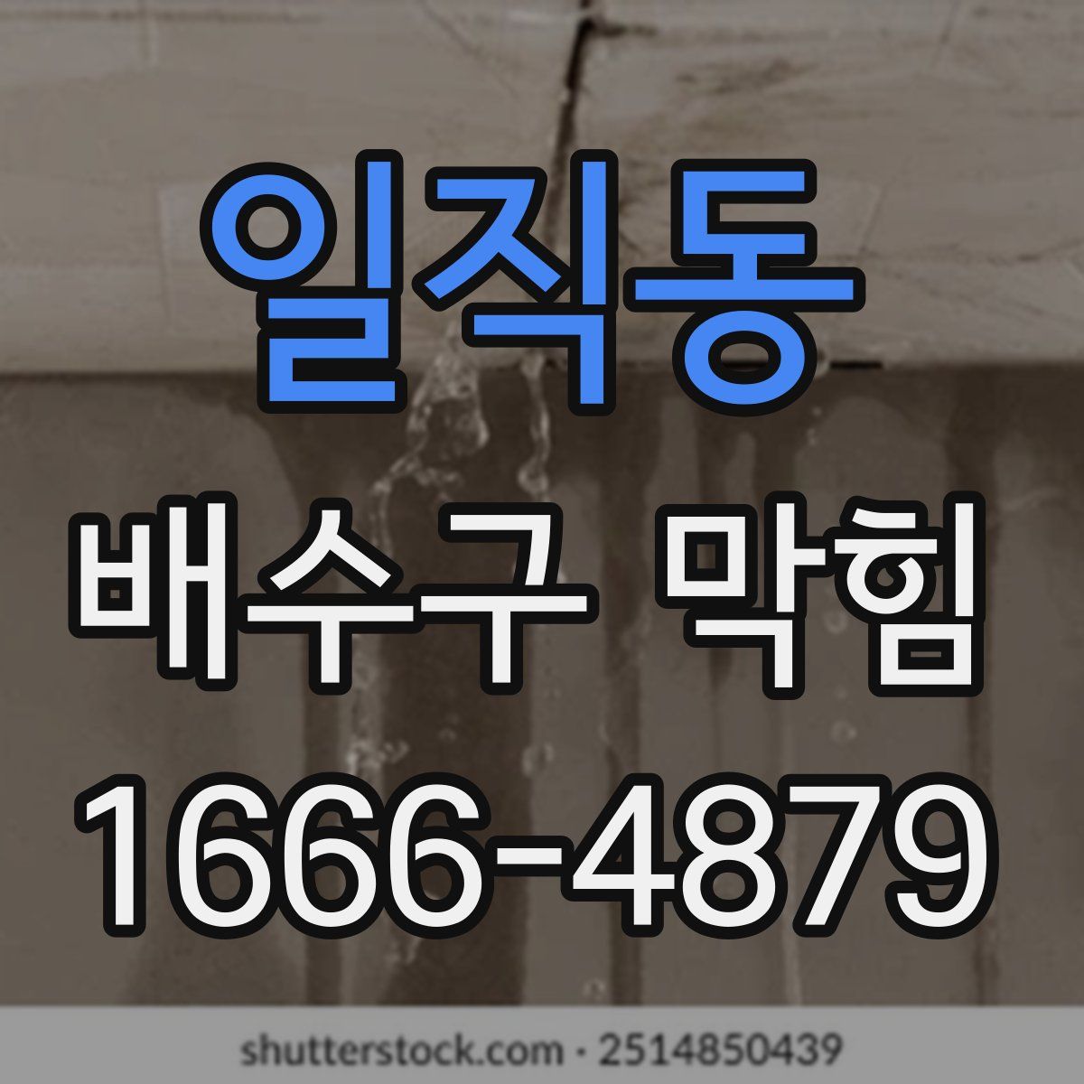 일직동 배수구 막힘