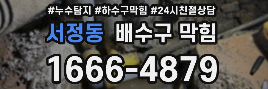서정동 배수구 막힘