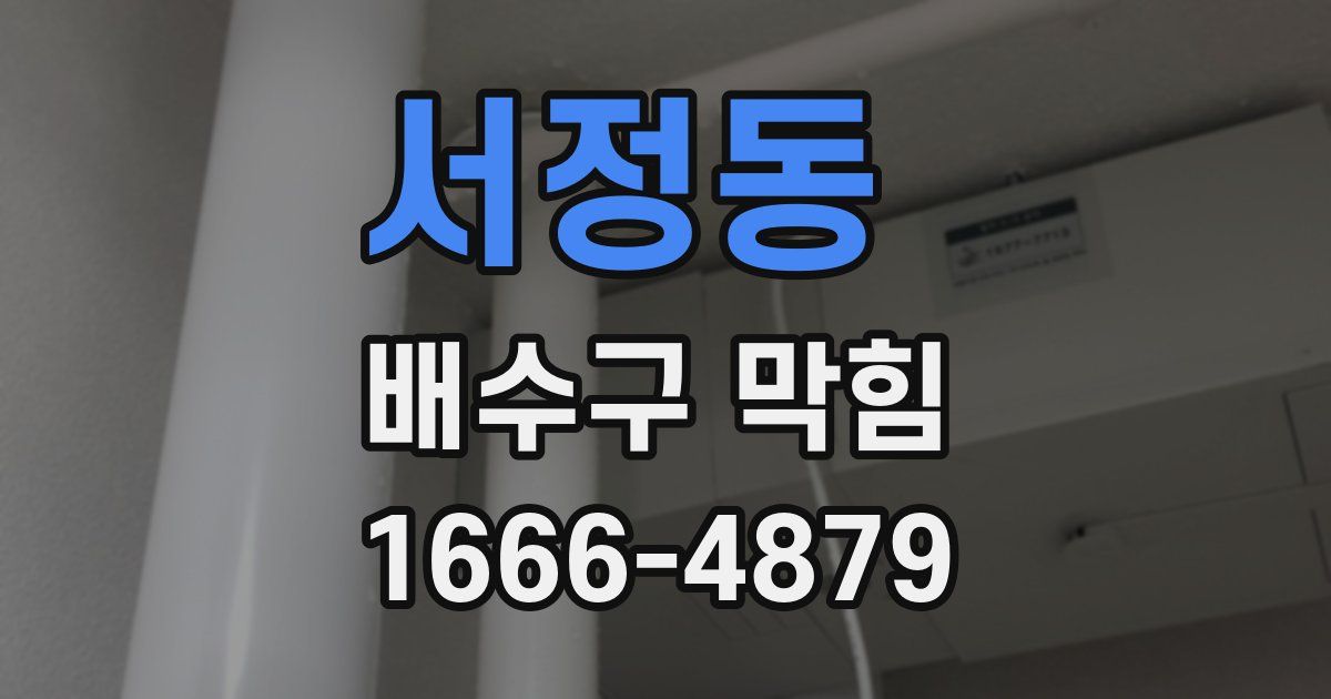 서정동 배수구 막힘