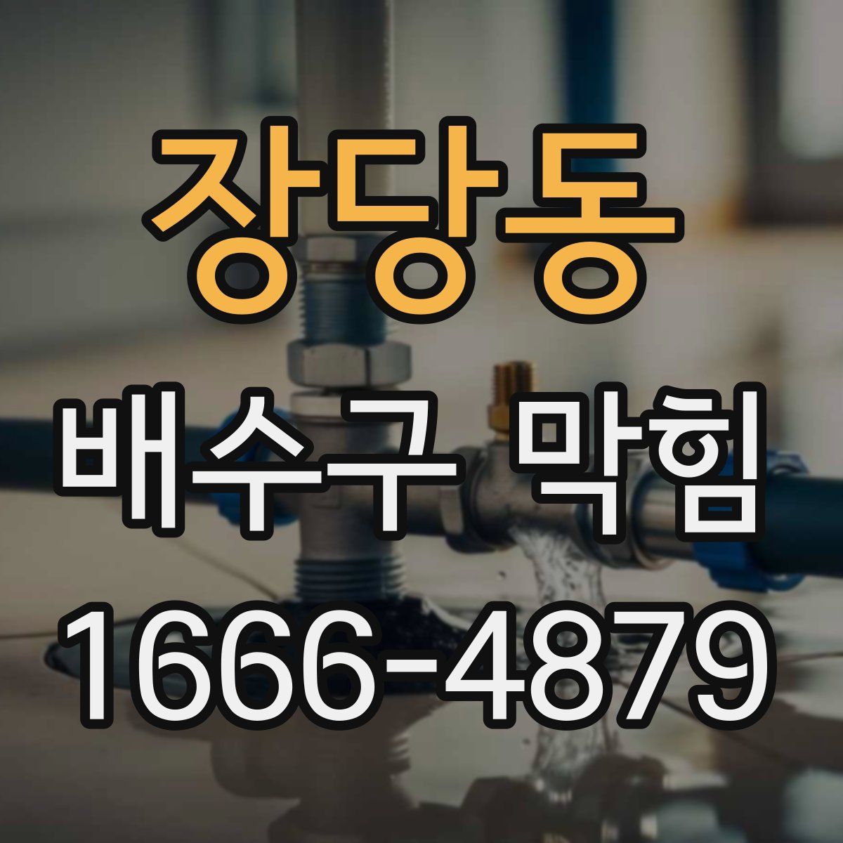장당동 배수구 막힘