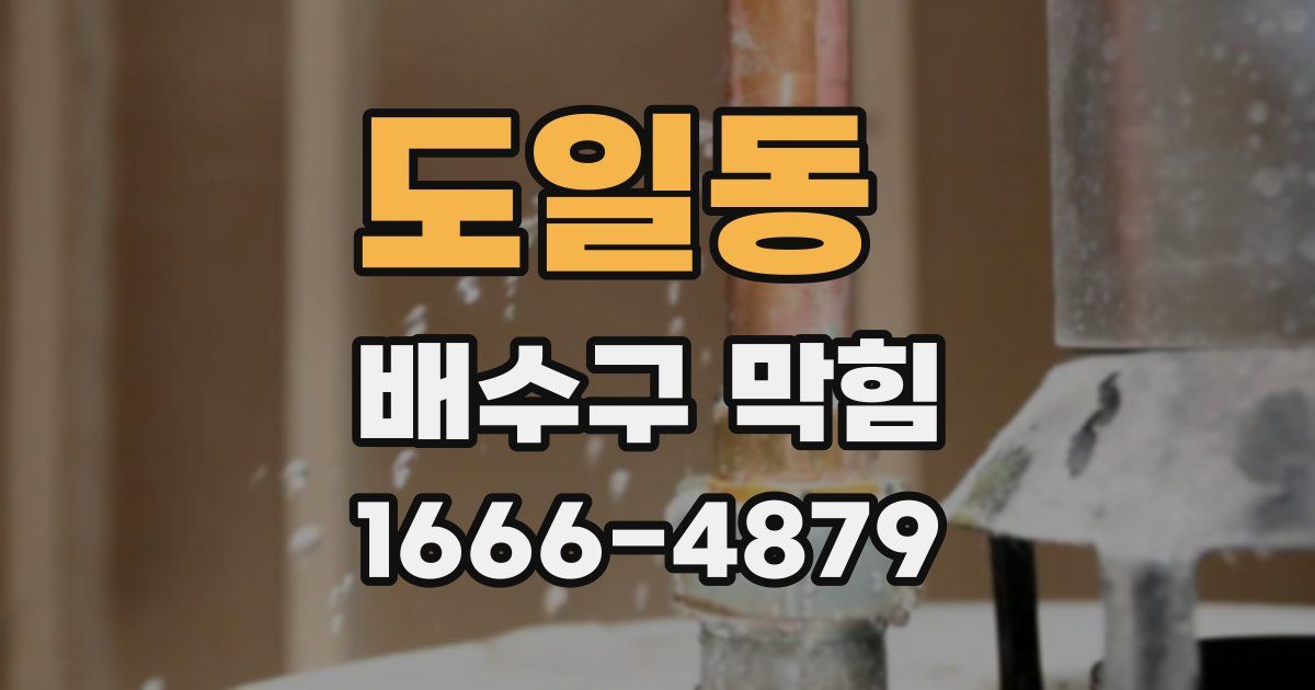 도일동 배수구 막힘