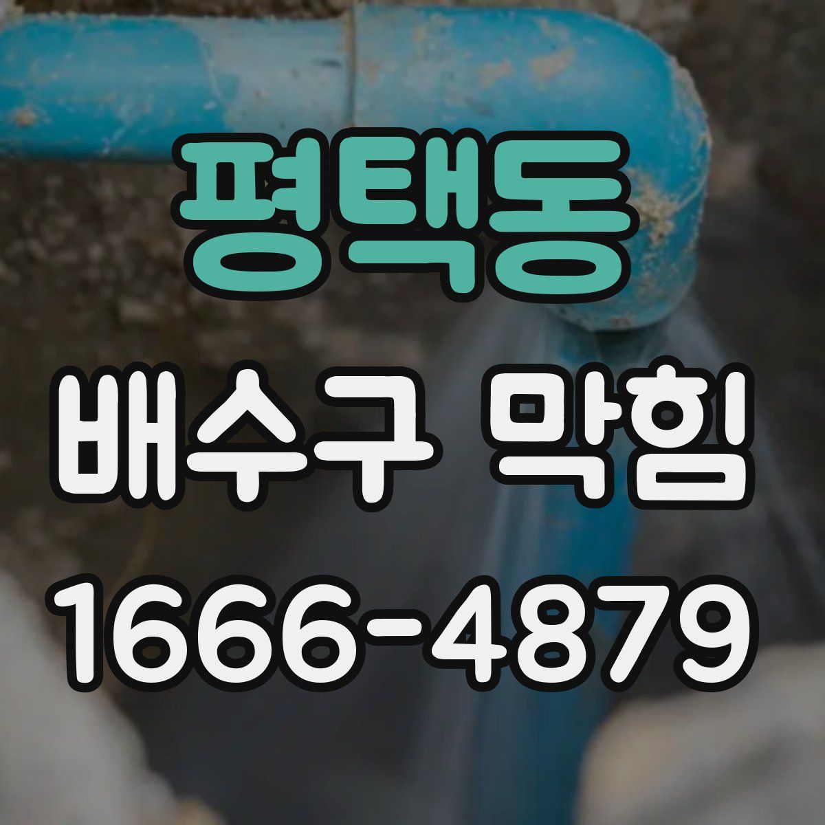 평택동 배수구 막힘
