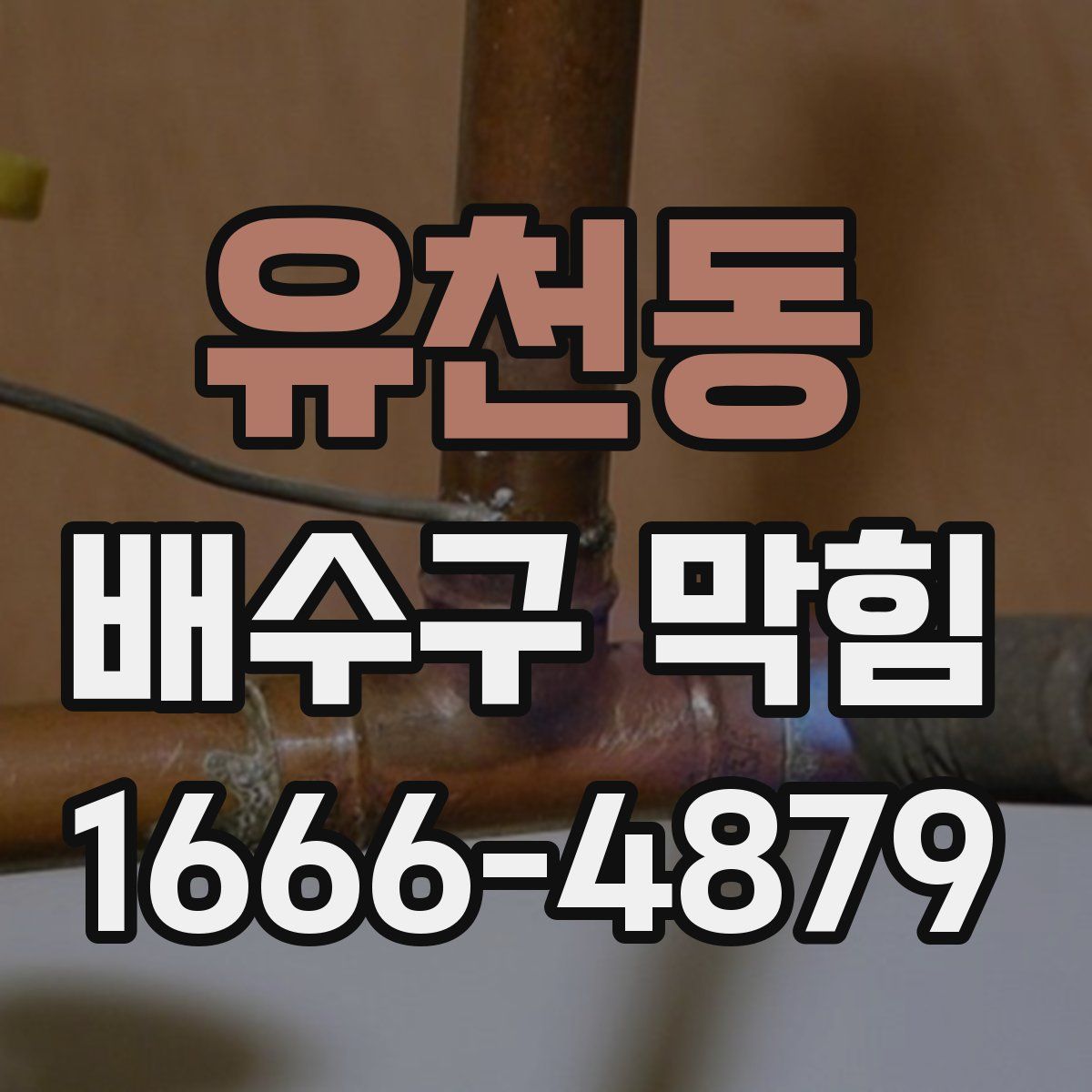유천동 배수구 막힘