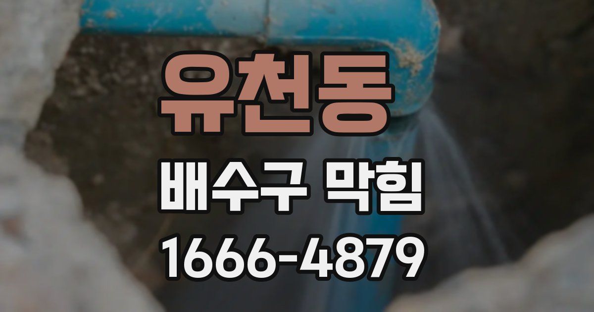 유천동 배수구 막힘