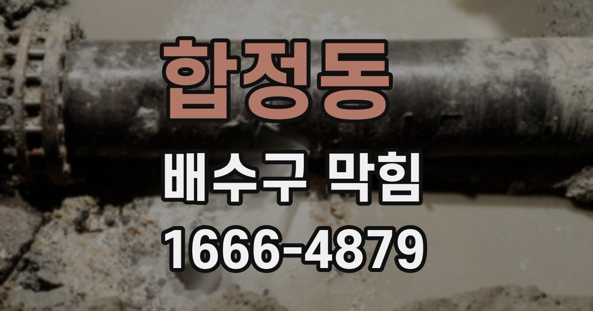 합정동 배수구 막힘