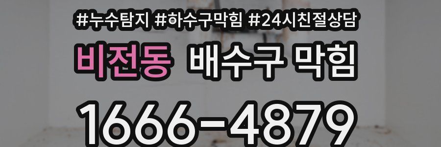 비전동 배수구 막힘