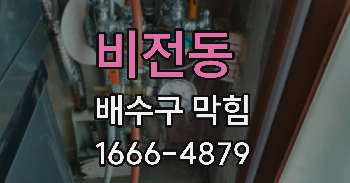 비전동 배수구 막힘