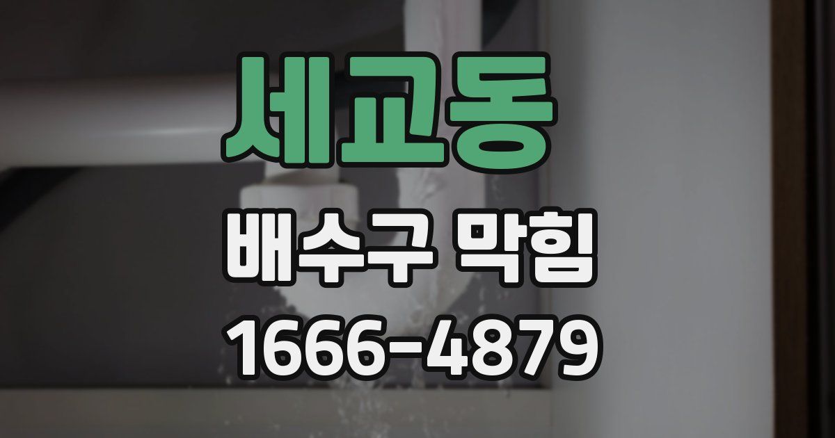 세교동 배수구 막힘