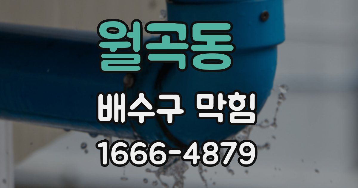 월곡동 배수구 막힘