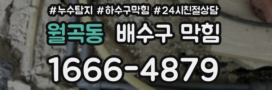 월곡동 배수구 막힘