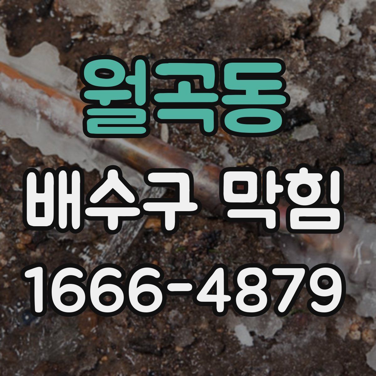 월곡동 배수구 막힘