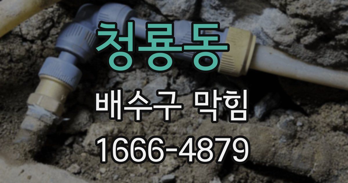 청룡동 배수구 막힘