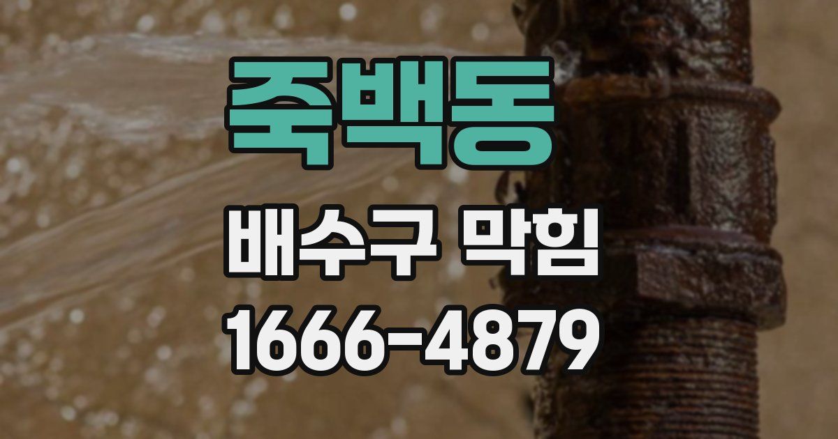 죽백동 배수구 막힘