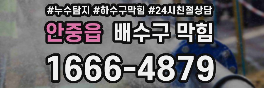 안중읍 배수구 막힘