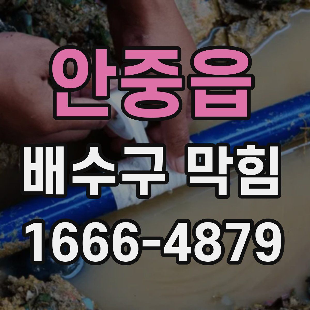 안중읍 배수구 막힘