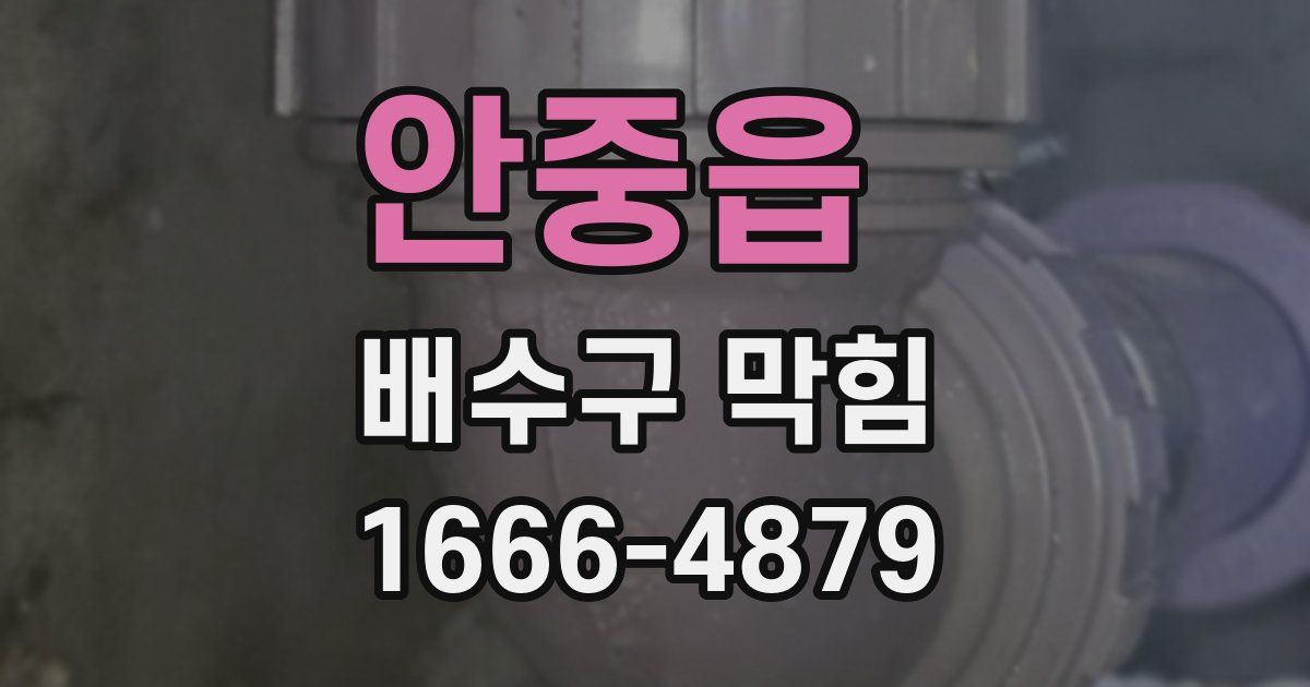 안중읍 배수구 막힘