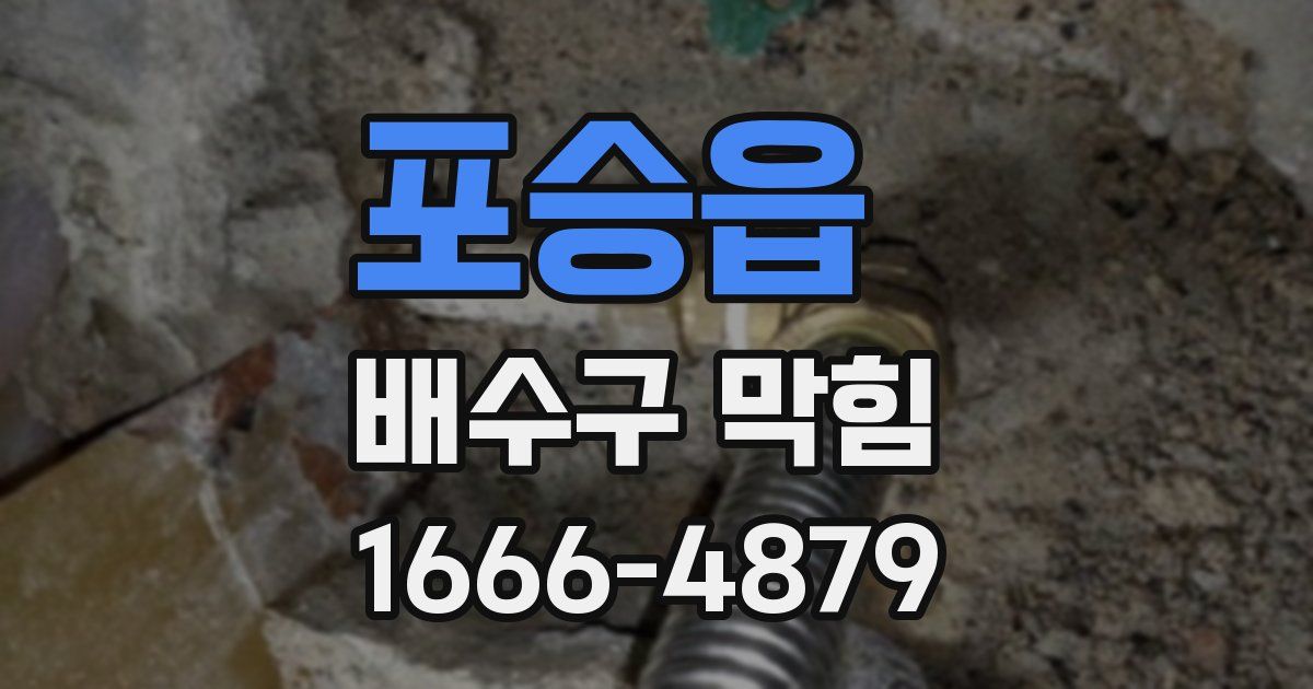 포승읍 배수구 막힘