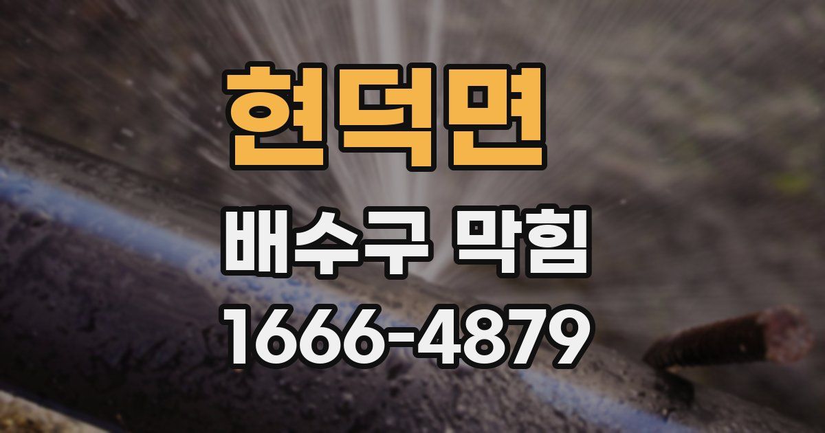 현덕면 배수구 막힘