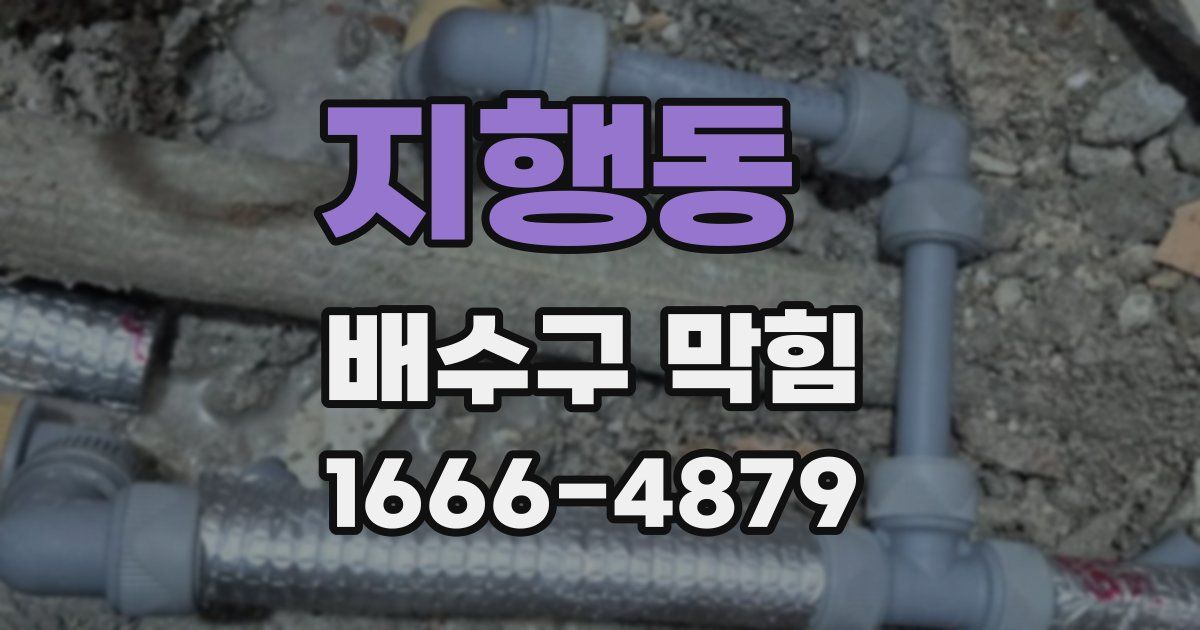 지행동 배수구 막힘
