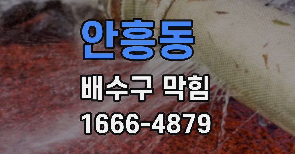 안흥동 배수구 막힘