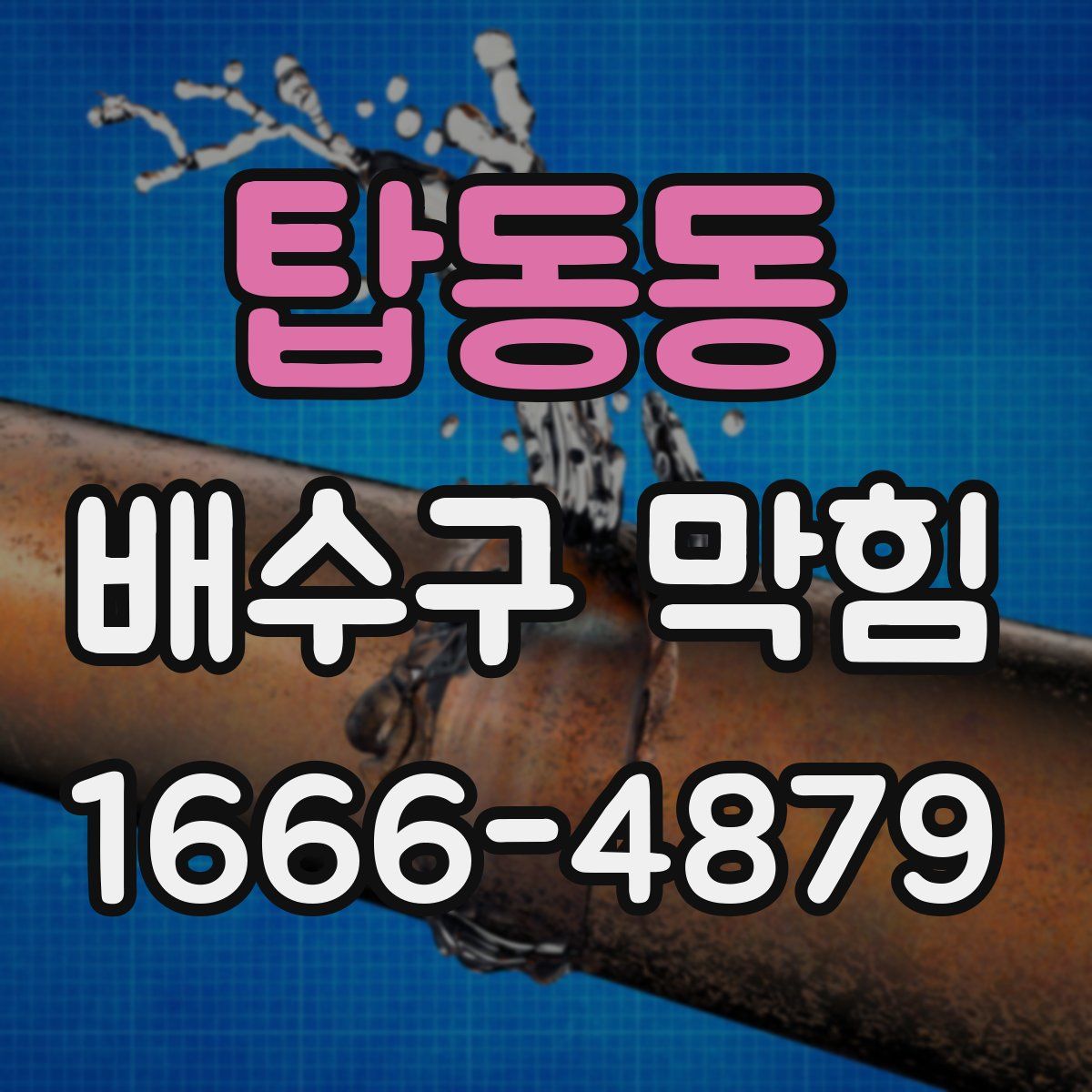 탑동동 배수구 막힘
