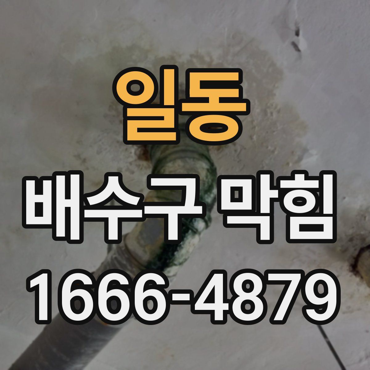 일동 배수구 막힘