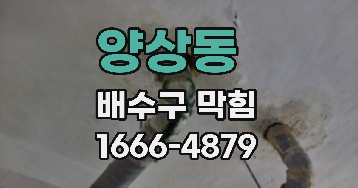 양상동 배수구 막힘