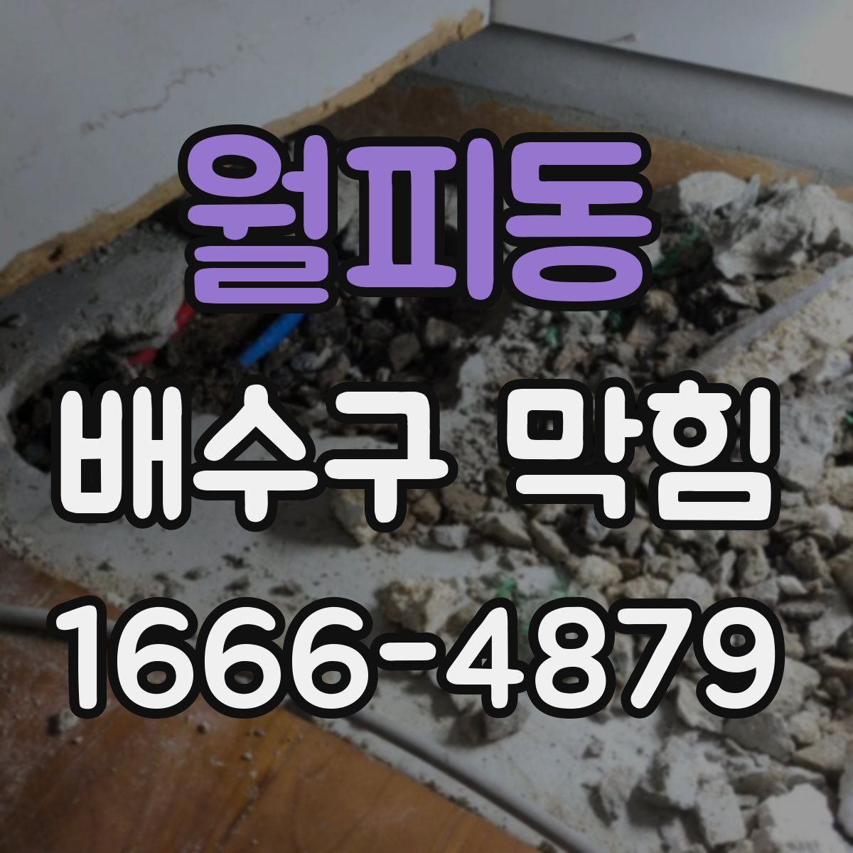 월피동 배수구 막힘