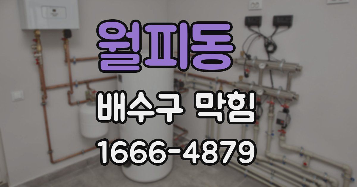 월피동 배수구 막힘