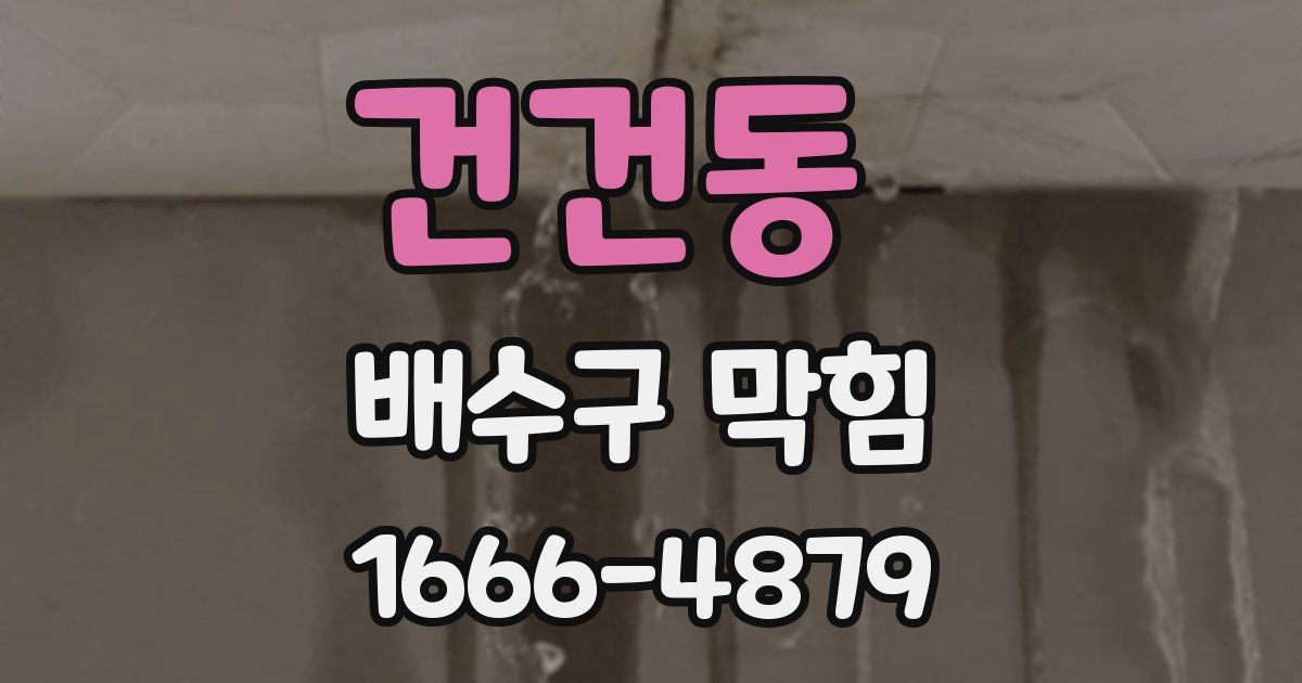 건건동 배수구 막힘