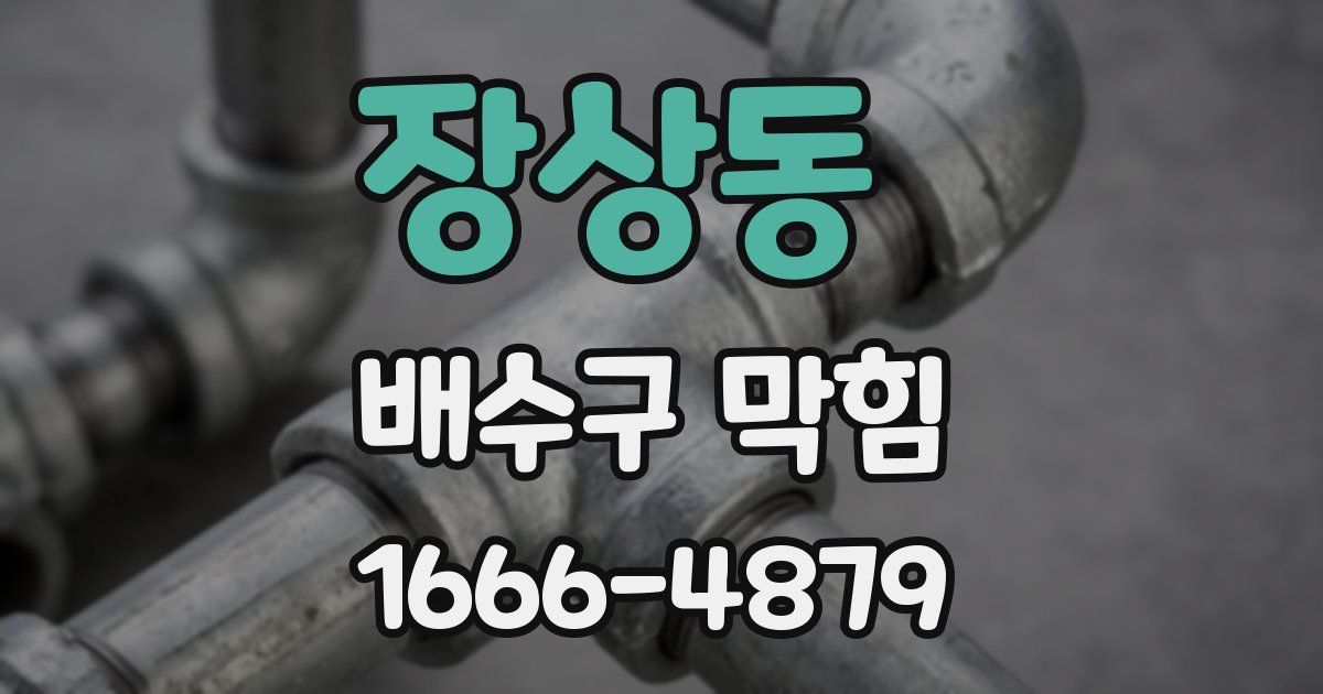 장상동 배수구 막힘