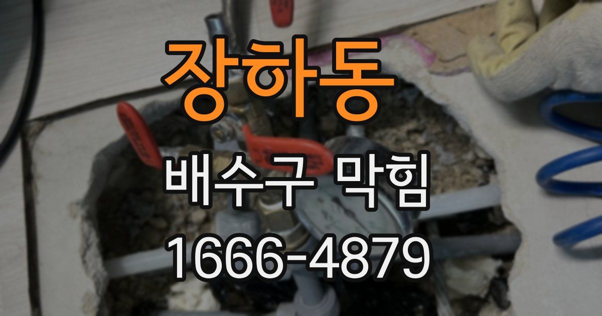 장하동 배수구 막힘